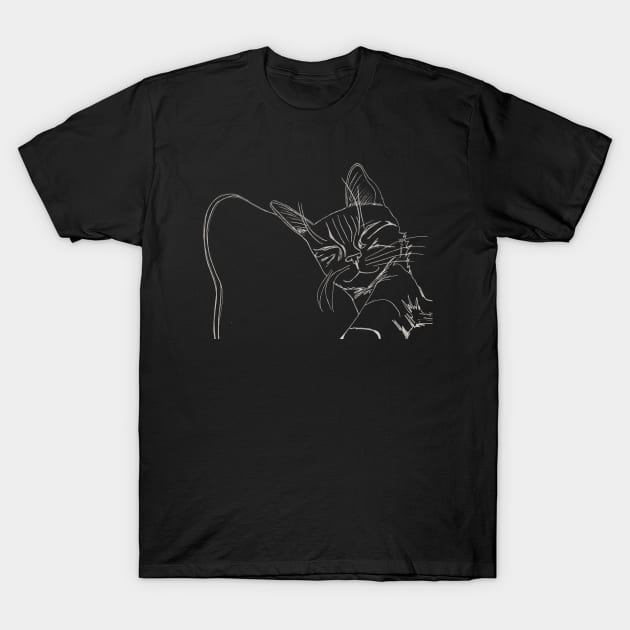 Cat Napping T-Shirt by MagsWilliamson